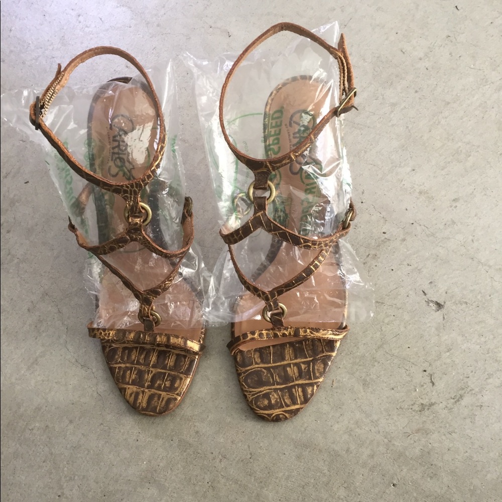 Carlos heels
